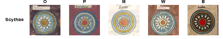 Shield patterns