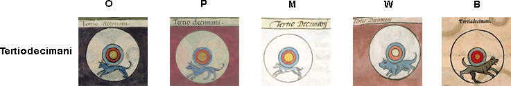 Tertiodecimani shield patterns