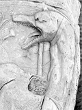 Draco from Trajan's column